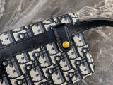 Pre Order Luxury Gold Logo Chain Mini Cross Body Bag