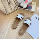 Pre Order Luxury Logo Design Slides