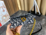 Pre Order Luxury Gold Logo Chain Mini Cross Body Bag