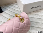 Pre Order Luxury Gold Logo Chain  Pink Bag