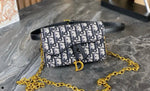 Pre Order Luxury Gold Logo Chain Mini Cross Body Bag