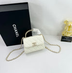 Pre Order Mini Crossbody Luxury Logo Chain Bag (6 Colours)