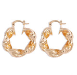 Small Twisted Hoop Earrings