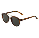 Camden Sunnies
